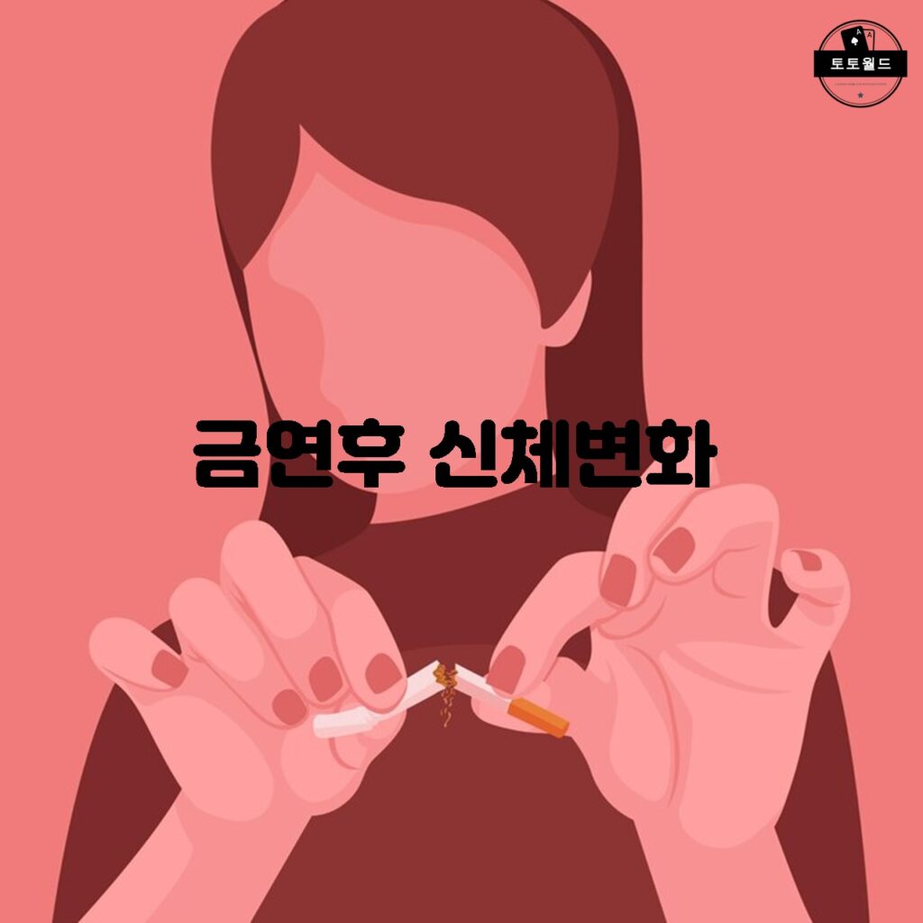 금연 후 1년이 지나면 심장병 발병 확률이 반으로 감소한다.