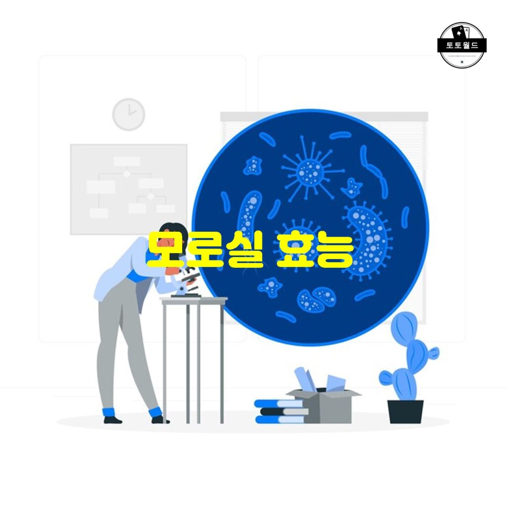 모로실의 항산화 작용과 건강에 대한 효능