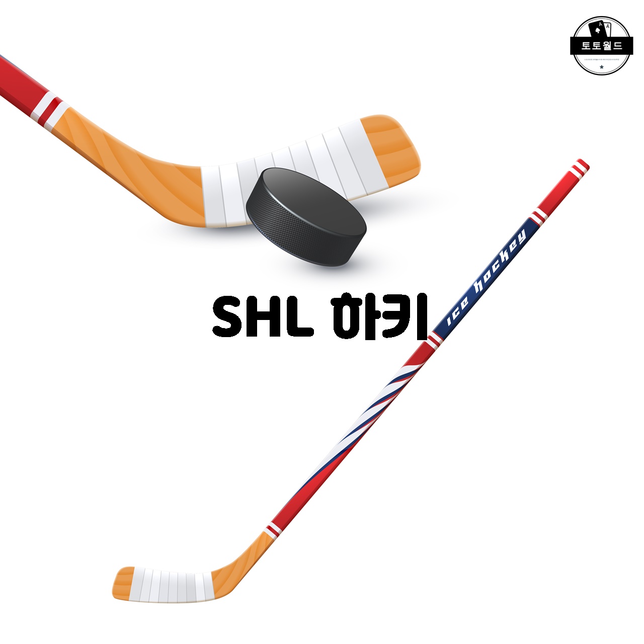 SHL 하키