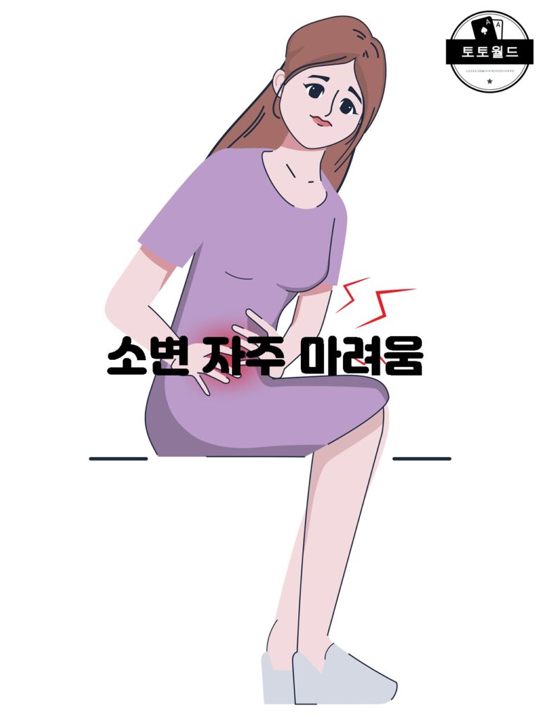 소변 자주 마려움의 주요 원인과 대처법