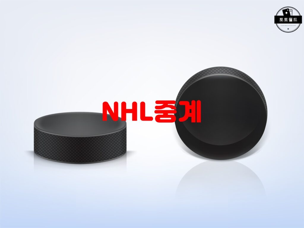 NHL의 팀 구성과 도시 지원